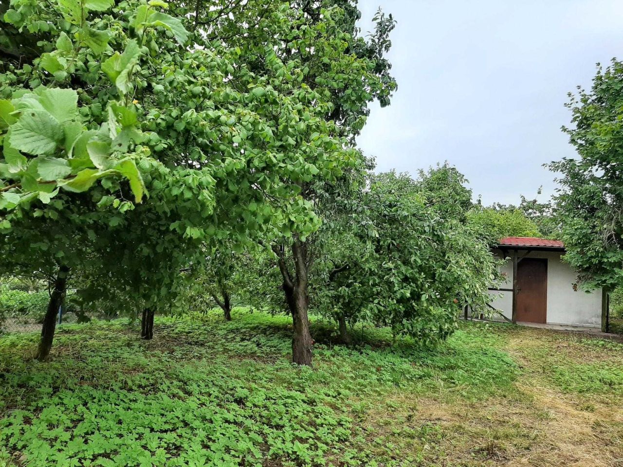 Działka rod Piła. Zdjęcie 3