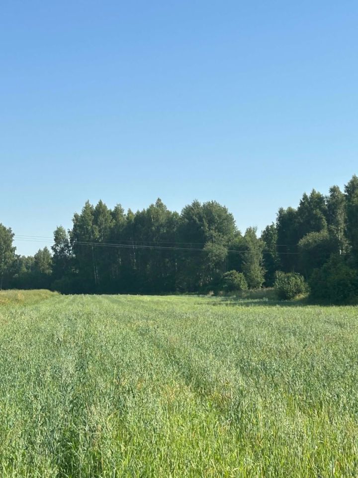 Działka rolna Bużyska. Zdjęcie 5