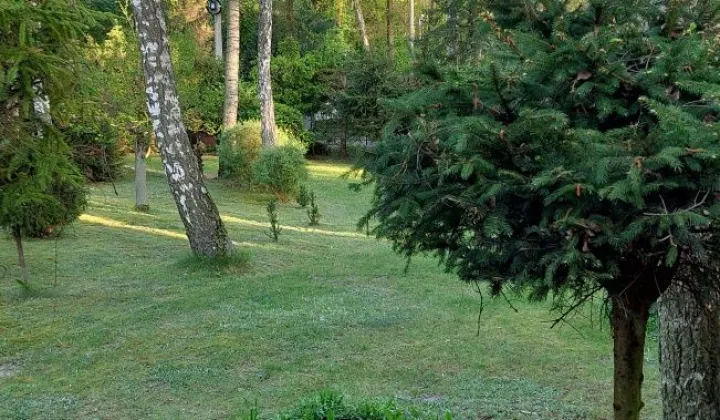 Działka budowlana Sokolniki-Las
