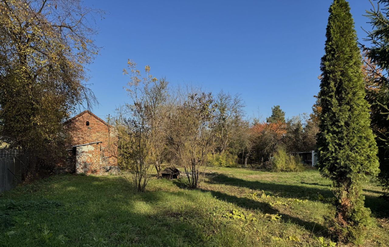 Działka siedliskowa Brzeziny, Brzeziny. Zdjęcie 7
