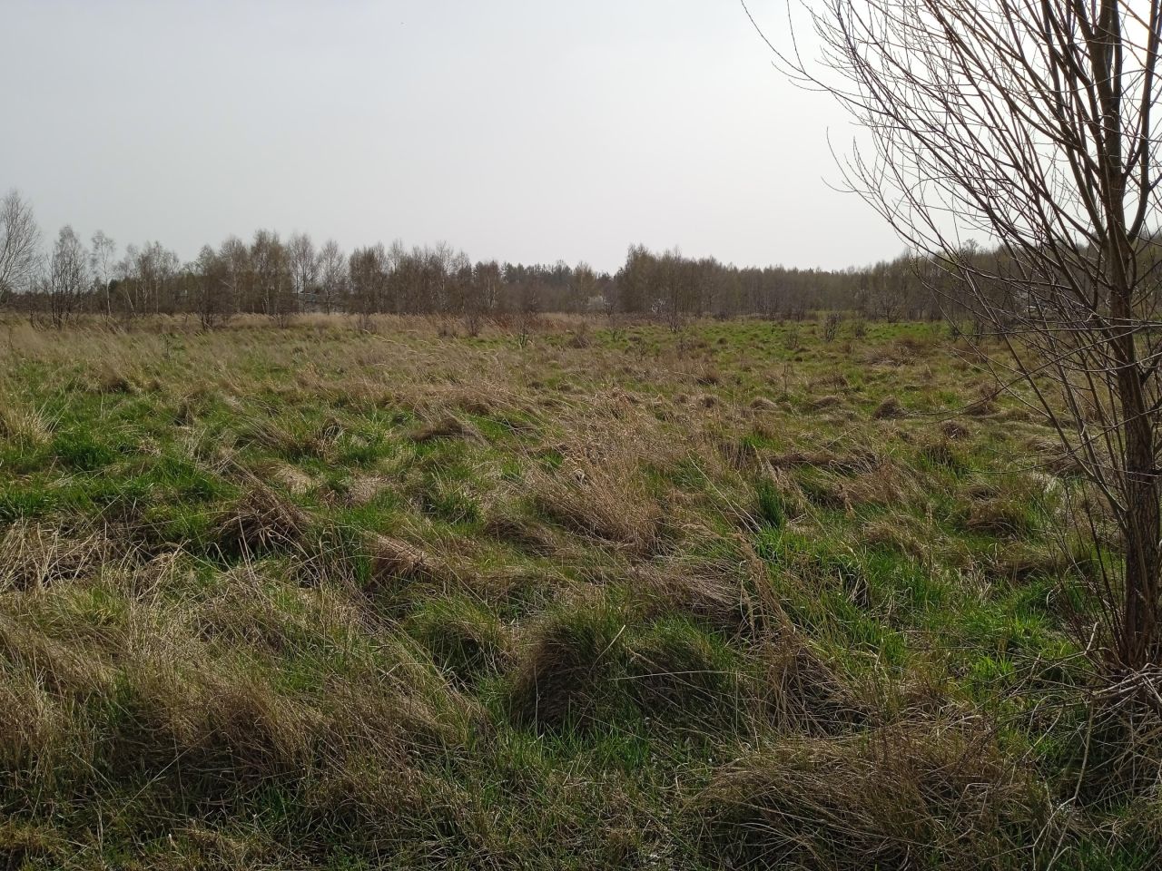 Działka rolno-budowlana Radomsko Stobiecko Miejskie, ul. Częstochowska. Zdjęcie 10