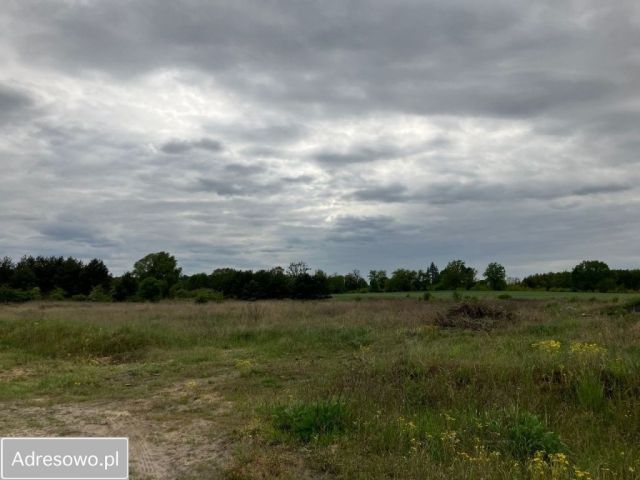 Działka inwestycyjna Gorzów Wielkopolski, ul. Spiżowa. Zdjęcie 1