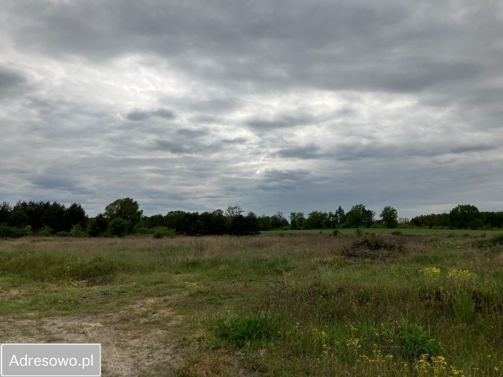 Działka inwestycyjna Gorzów Wielkopolski, ul. Spiżowa