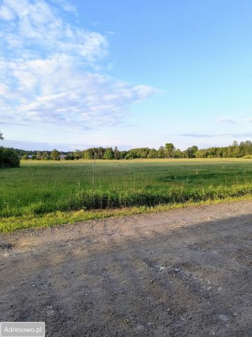 Działka rolna Łęka. Zdjęcie 1