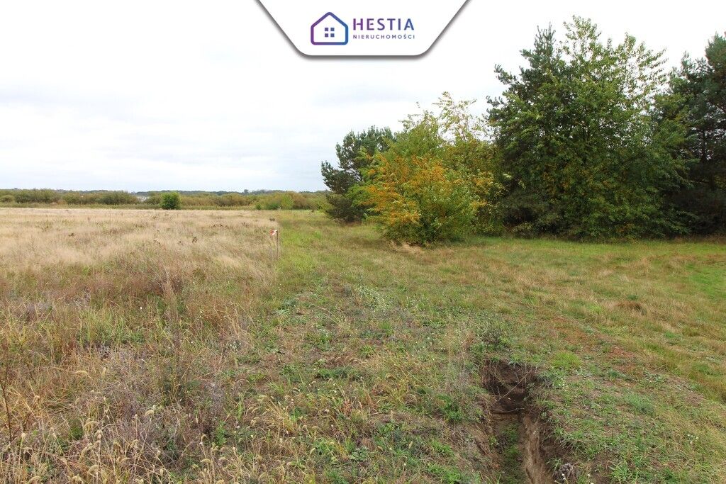 Działka rolna Jęczydół. Zdjęcie 6