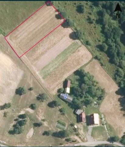 Działka rolna Szymbark. Zdjęcie 1