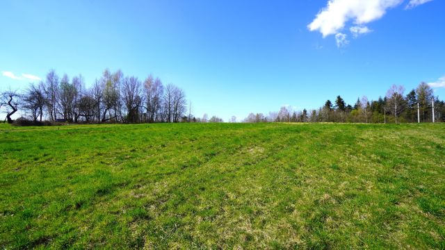 Działka rolno-budowlana Biecz. Zdjęcie 3