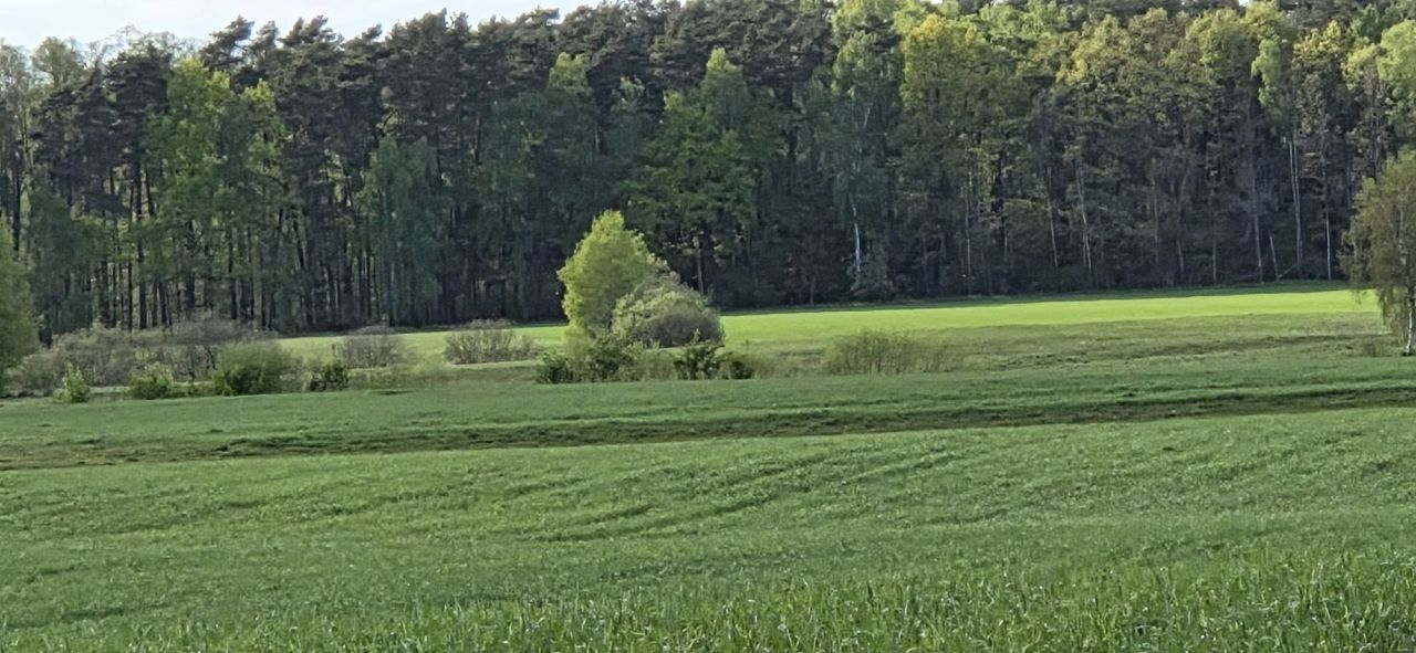 Działka budowlana Bietowo. Zdjęcie 1