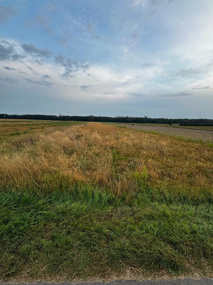 Działka rolno-budowlana Żyrzyn, ul. Plebańska. Zdjęcie 4