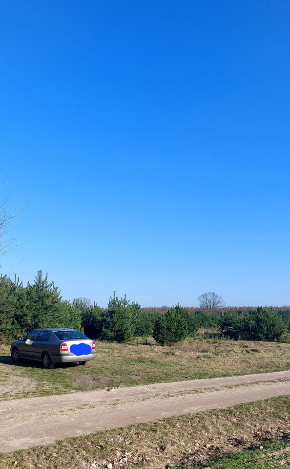 Działka budowlana Cegielnia Psucka. Zdjęcie 4