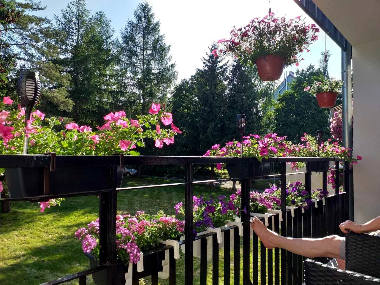 Mieszkanie 3-pokojowe Świeradów-Zdrój, ul. J. Korczaka. Zdjęcie 14