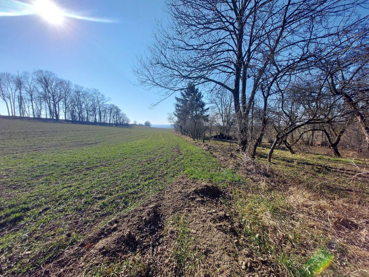 gospodarstwo Turków. Zdjęcie 4