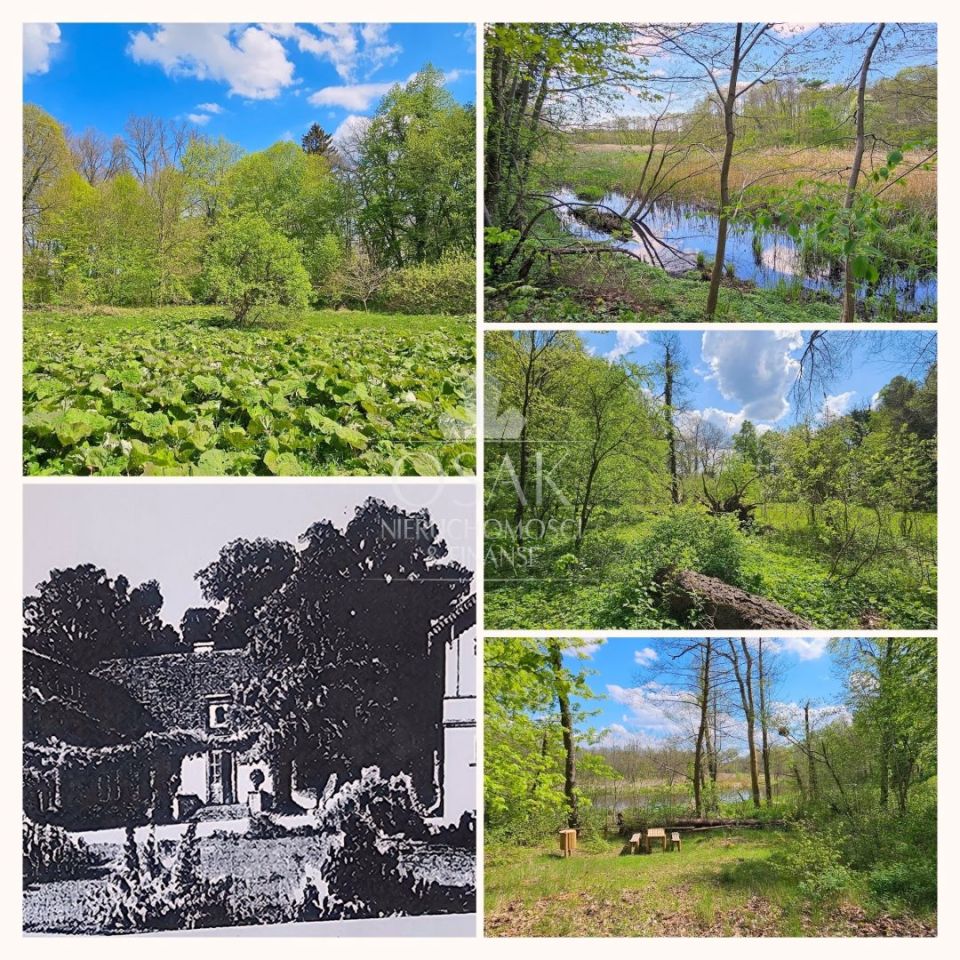 Działka Resko. Zdjęcie 14