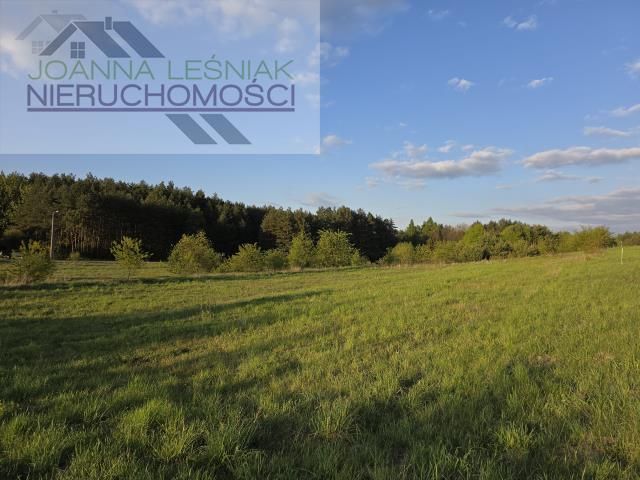 Działka budowlana Hucisko, Skalna. Zdjęcie 4