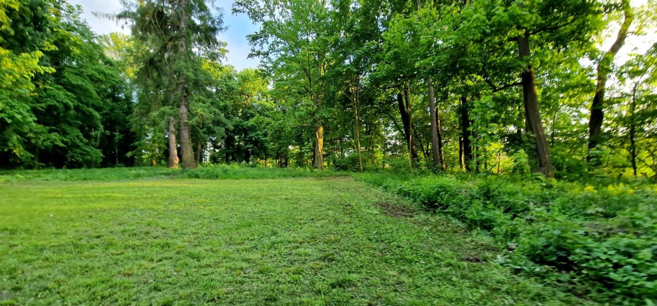 Działka inwestycyjna Zameczek. Zdjęcie 12