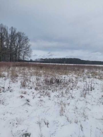 Działka Leszczyny Duże. Zdjęcie 1