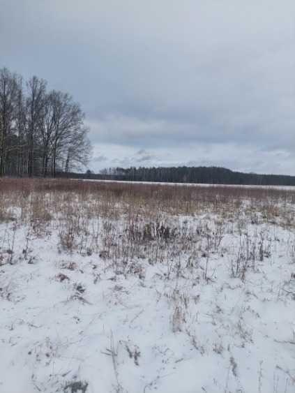 Działka Leszczyny Duże. Zdjęcie 1