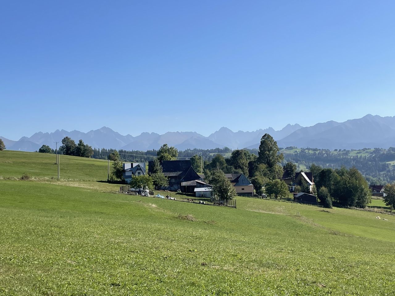 Działka rolna Gliczarów Dolny Wójcizna. Zdjęcie 2