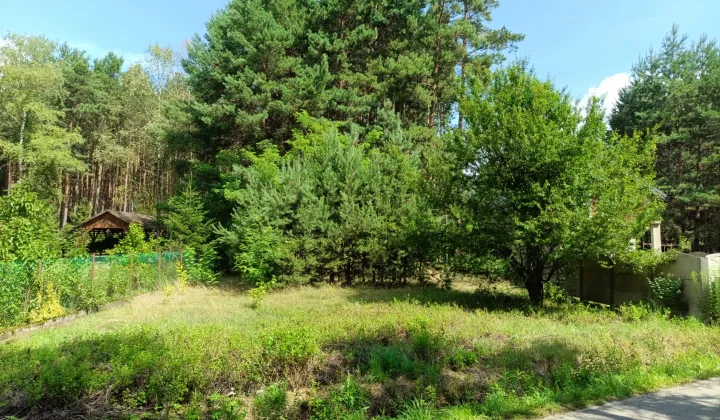 Działka rekreacyjna Wysoka Lelowska