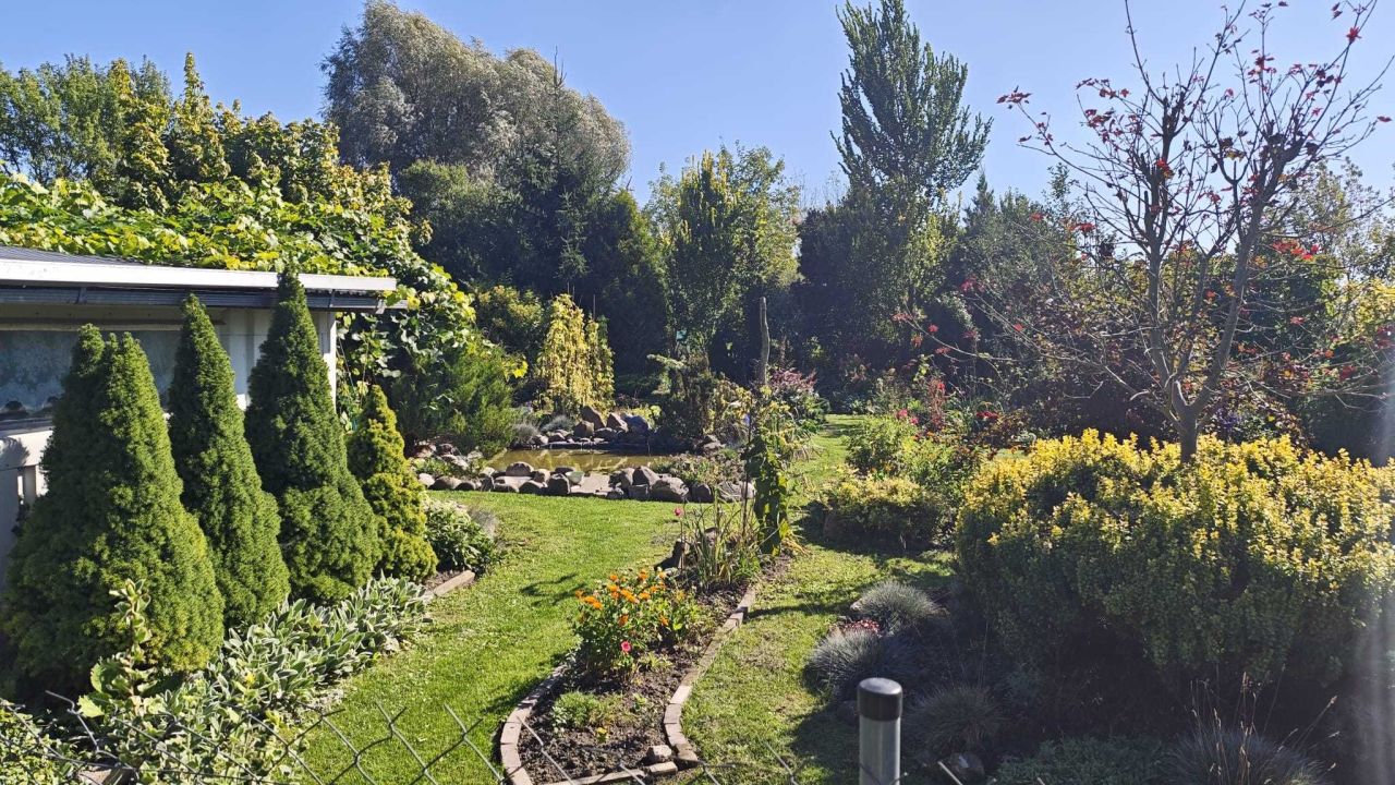 Działka rod Zamość, ul. Aleksandra Fredry. Zdjęcie 4