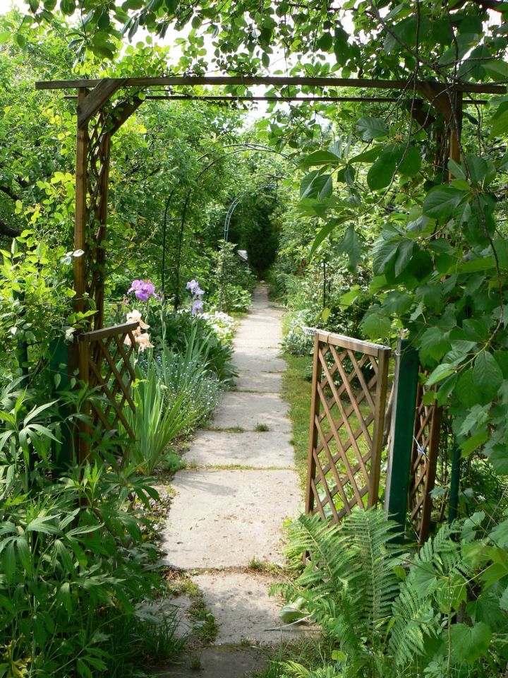 Działka rod Łódź Widzew, ul. Pomorska. Zdjęcie 4