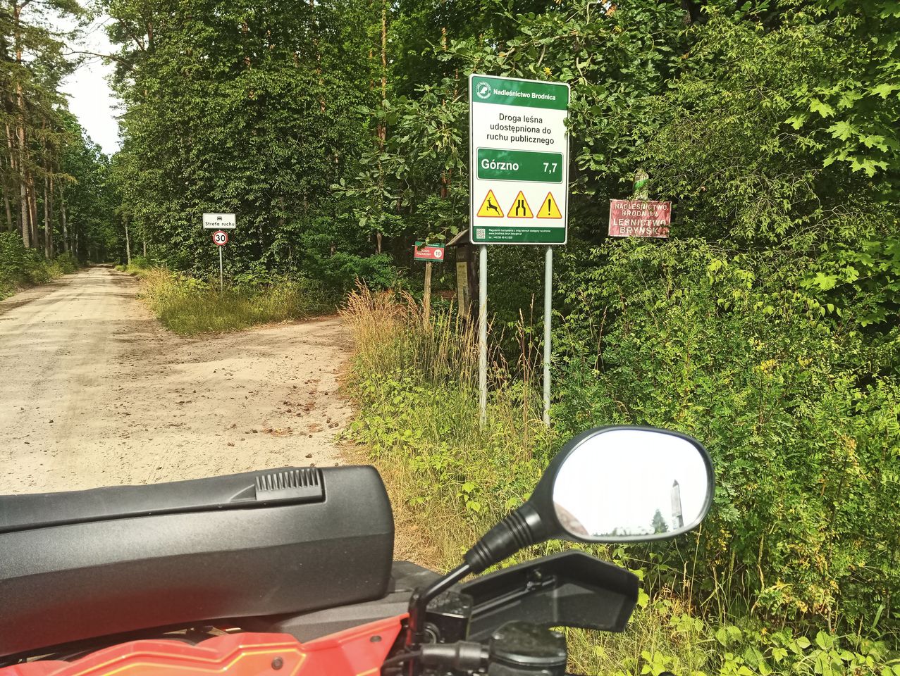 Działka leśna Konopaty. Zdjęcie 7
