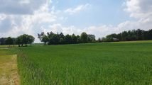 Działka budowlana Nowe Naruszewo. Zdjęcie 1