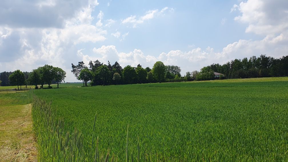 Działka budowlana Nowe Naruszewo. Zdjęcie 2