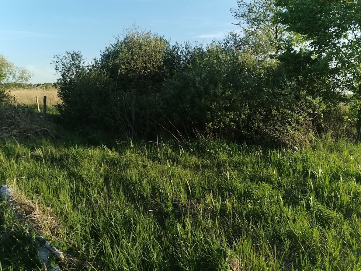 Działka budowlana Rogowo, ul. Topolowa. Zdjęcie 18