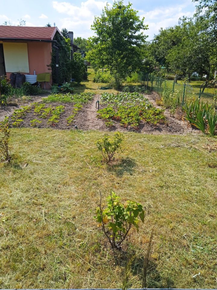 Działka rod Wrocław Krzyki, ul. Wiaduktowa. Zdjęcie 5