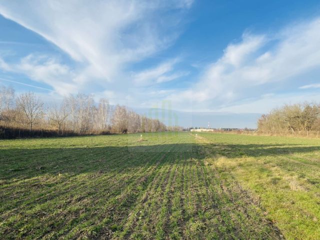 Działka budowlana Dębówka. Zdjęcie 10