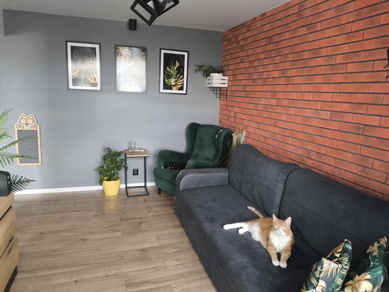 Mieszkanie 2-pokojowe Kielce Czarnów, ul. Hoża. Zdjęcie 2