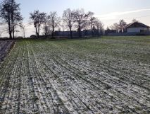 Działka budowlana Strzyżewo Smykowe. Zdjęcie 2