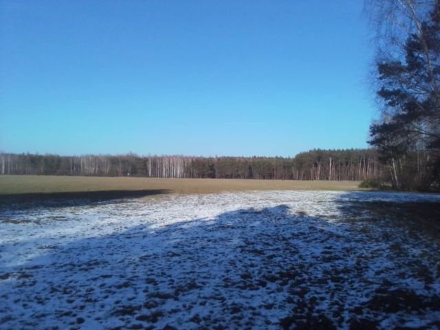 Działka budowlana Ksawercin. Zdjęcie 1