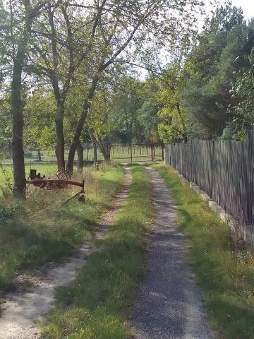 Działka budowlana Michałów-Reginów, ul. Polna. Zdjęcie 1