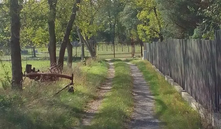Działka budowlana Michałów-Reginów, ul. Polna