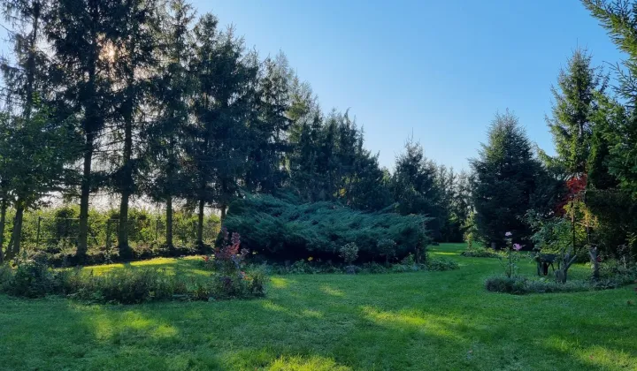 Działka rolno-budowlana Boduszyn