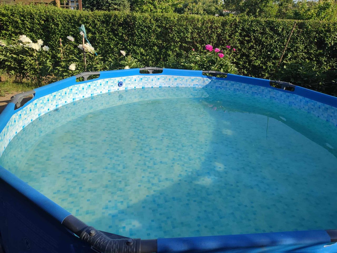 Działka rod Koszalin Jamno, ul. Aleja Europejska. Zdjęcie 2