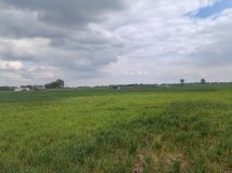 Działka budowlana Białołęka, -. Zdjęcie 1