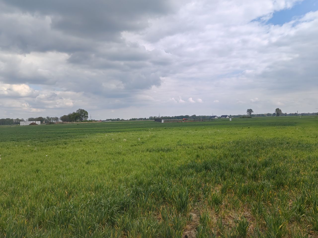 Działka budowlana Białołęka, -. Zdjęcie 2
