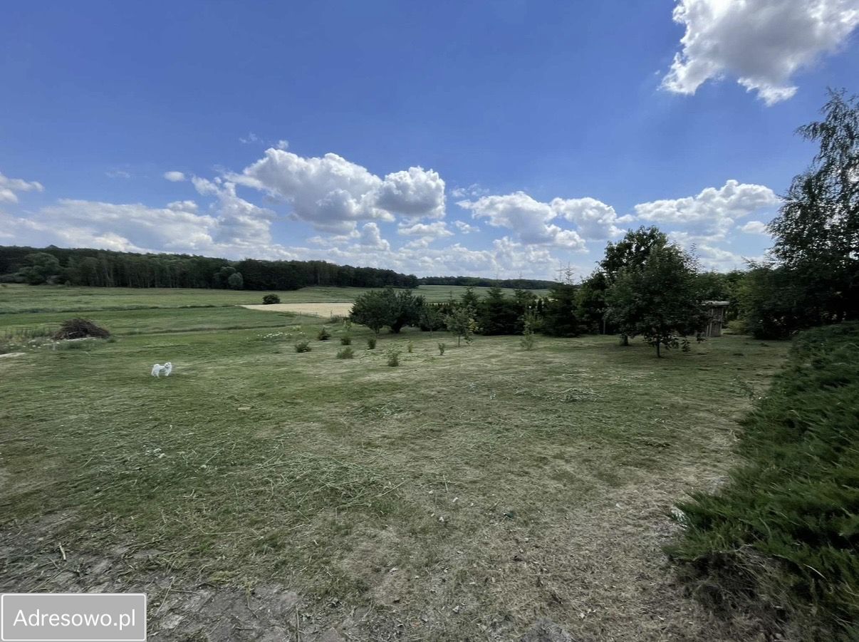 dom wolnostojący, 4 pokoje Szczuczyn. Zdjęcie 19