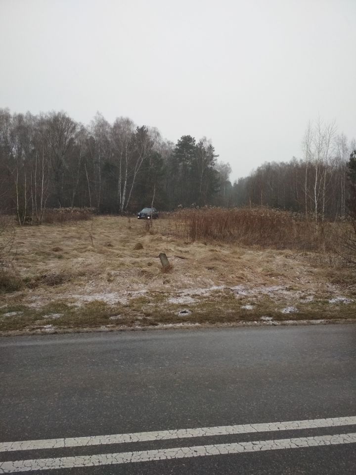 Działka leśna Wojszyn. Zdjęcie 14