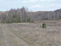 Działka rolno-budowlana Wiejca. Zdjęcie 1