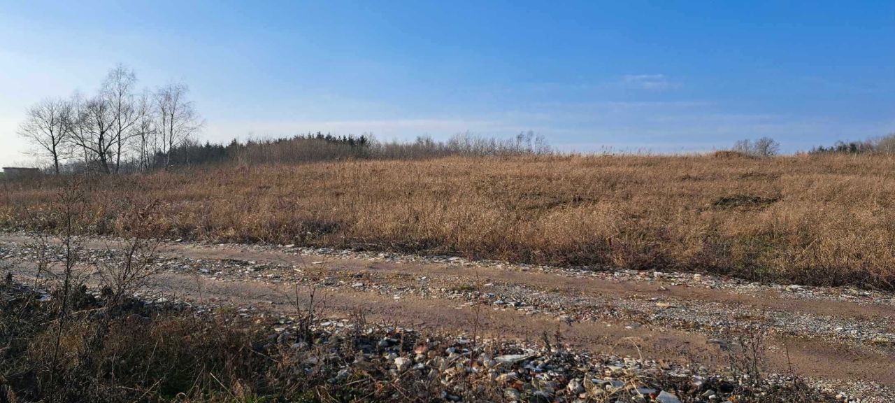 Działka budowlana Sędki. Zdjęcie 5