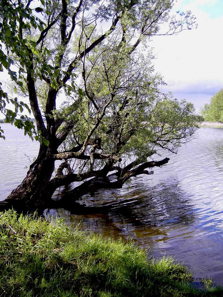 Działka budowlana Pasym, ul. Ostrów. Zdjęcie 14