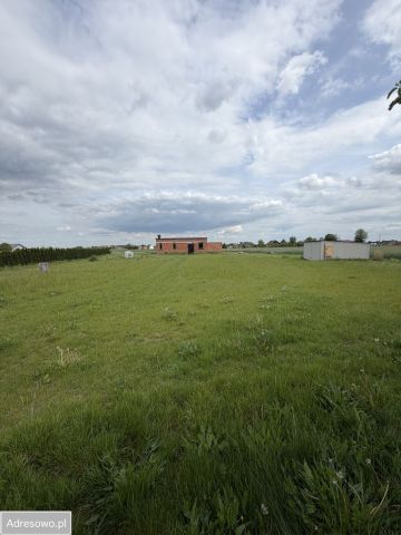 Działka rolno-budowlana Róża. Zdjęcie 1