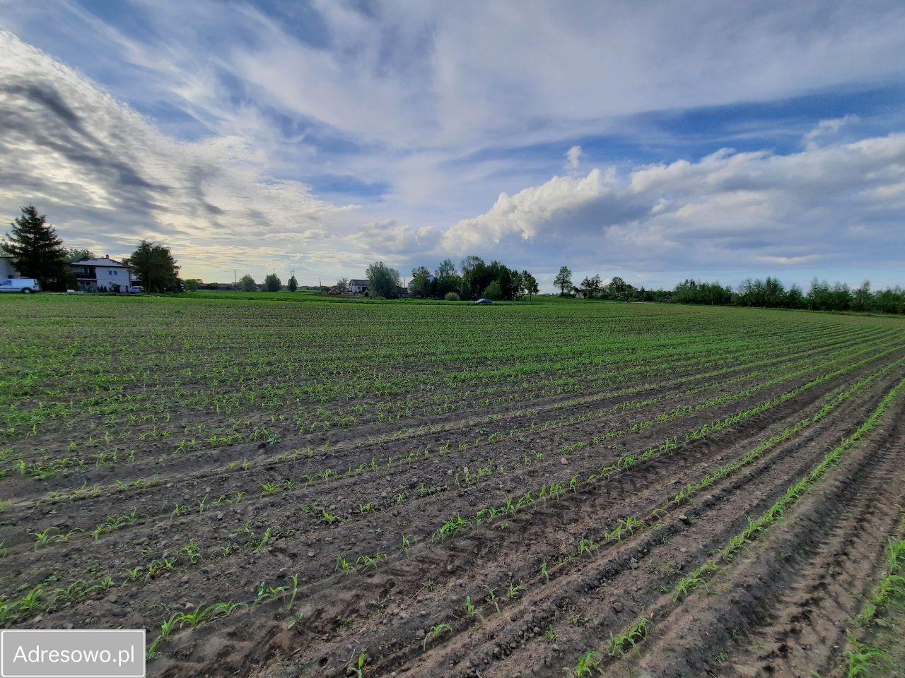 Działka budowlana Papowo Toruńskie Drążkowo, ul. Brzozowa. Zdjęcie 6