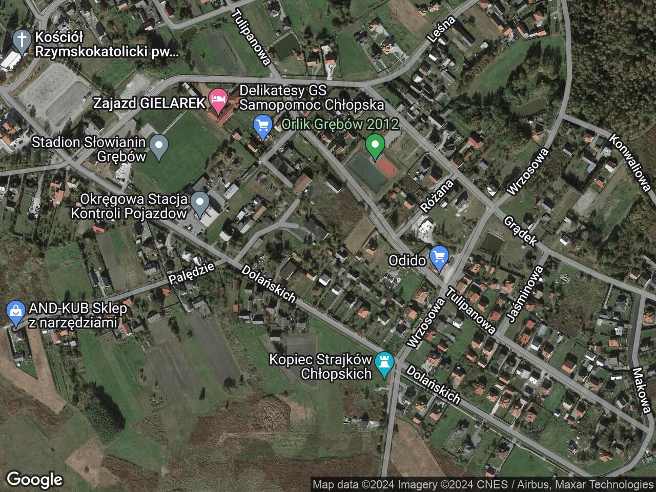 Nieruchomość komercyjna Grębów Palędzie, ul. Dolańskich