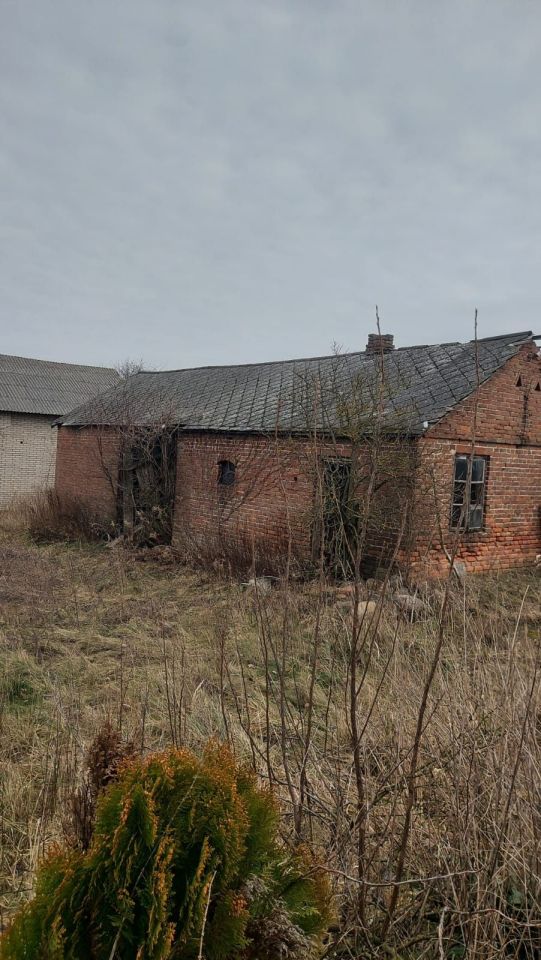 Działka siedliskowa Buchałowice. Zdjęcie 7