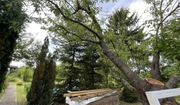 Działka rod Wrocław Krzyki